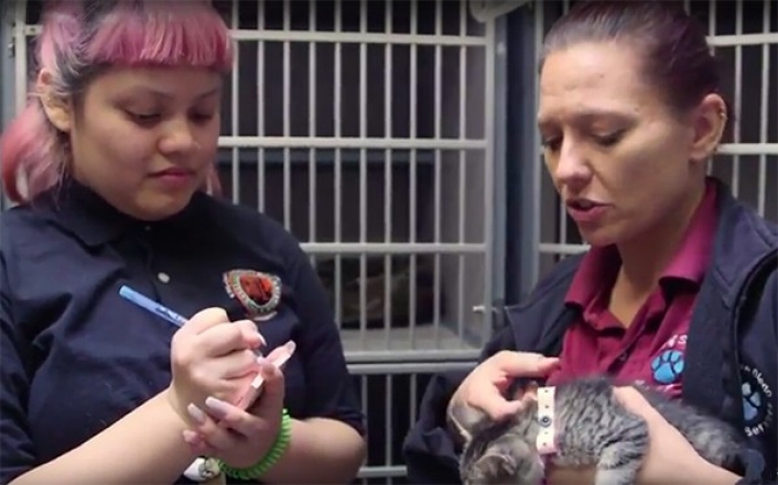 High school students do an internship at DAS High school students do an internship at DAS