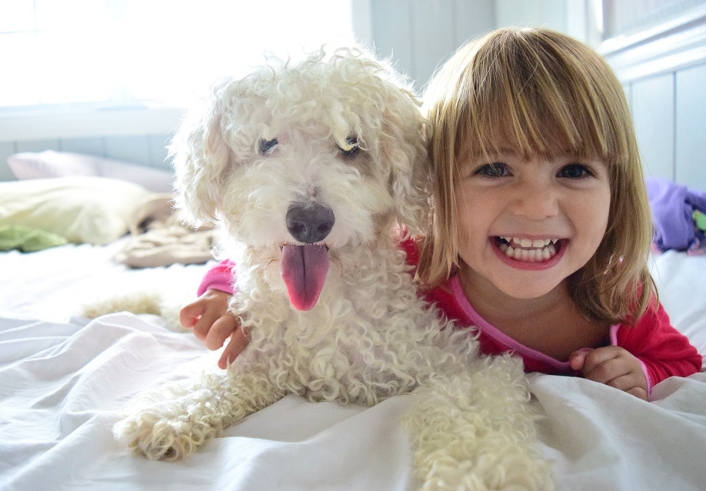 white dog with little girl