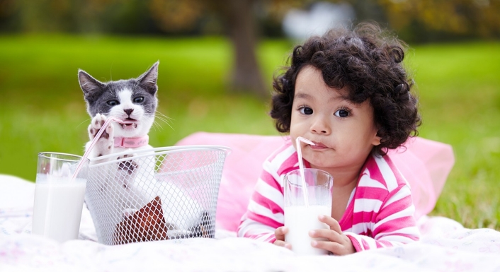 Cat and little girl drinking milk out of two cups with straws